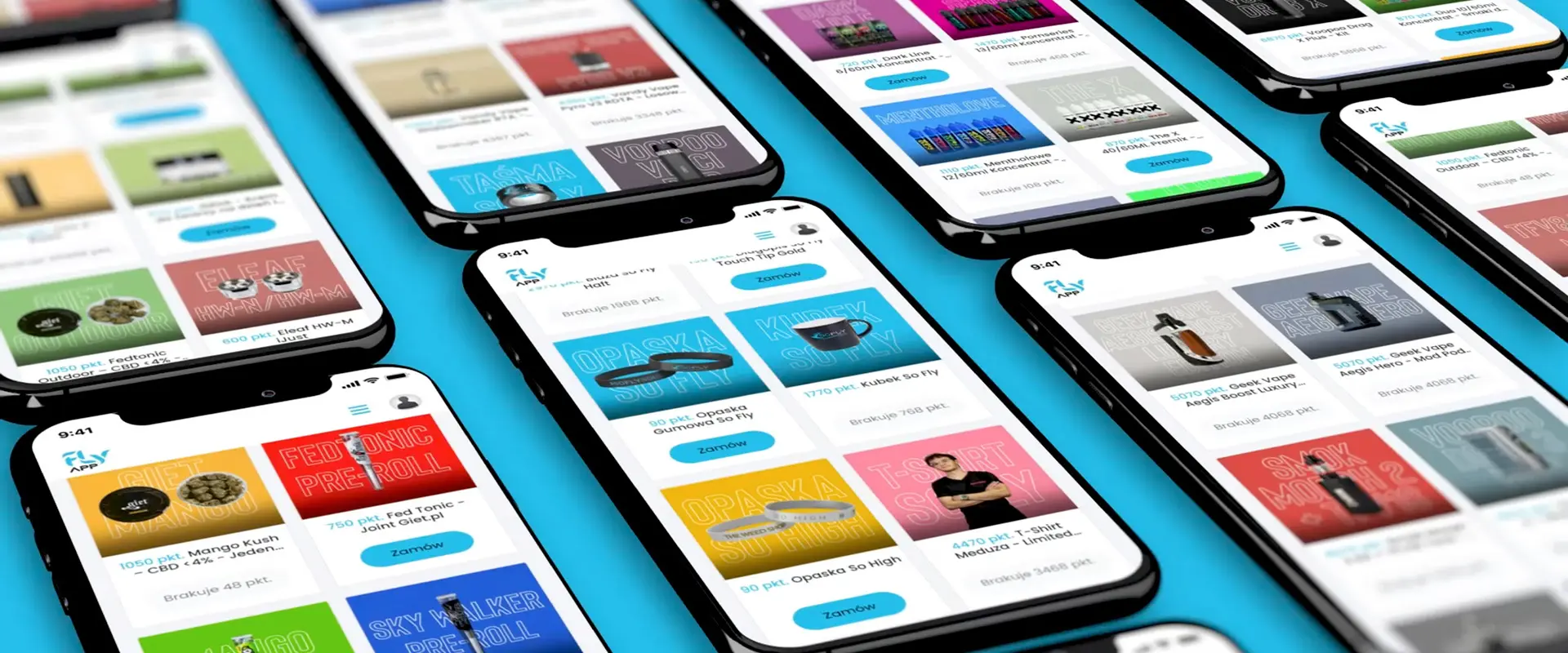 Project Illustration