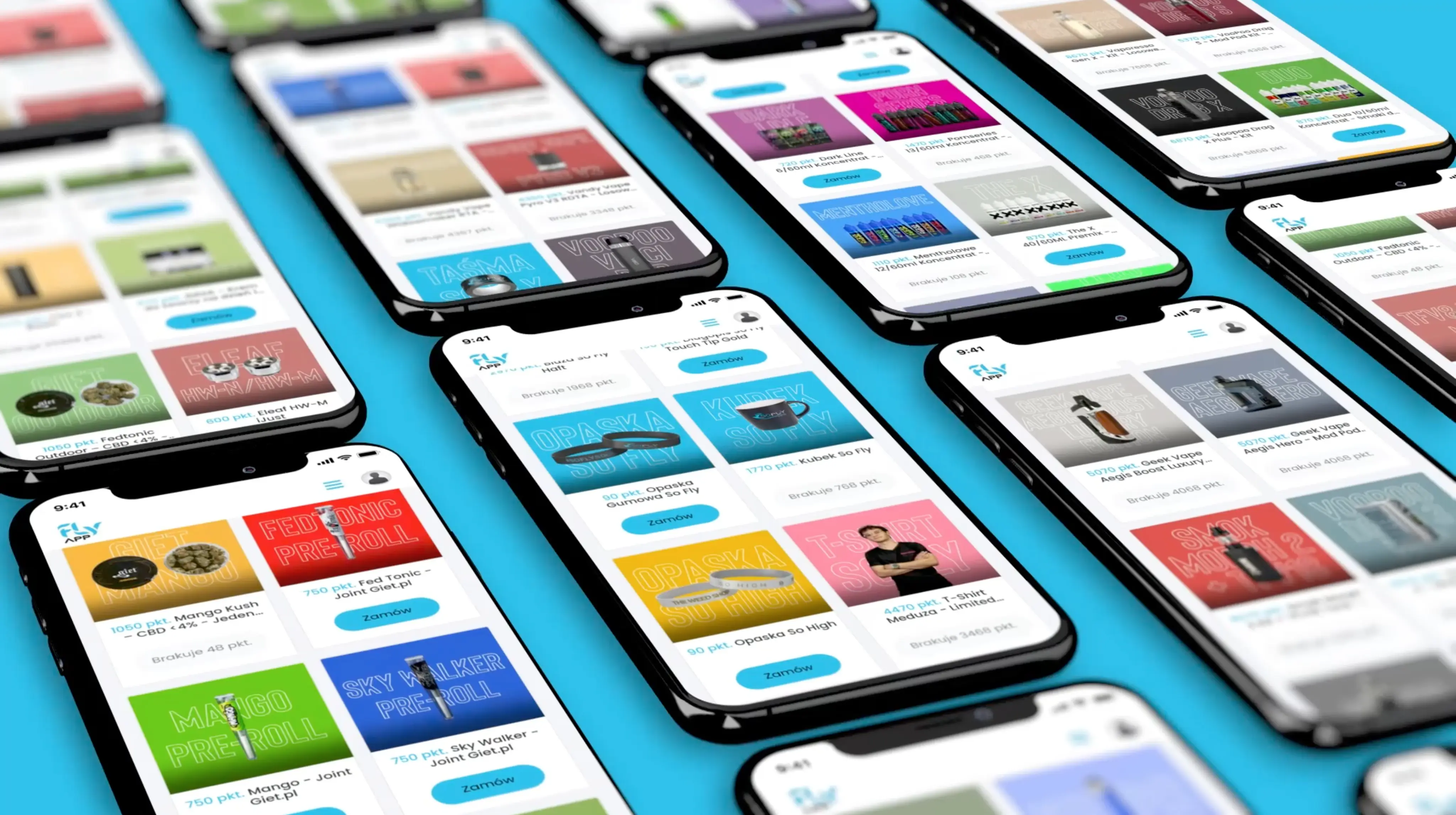 Project Illustration