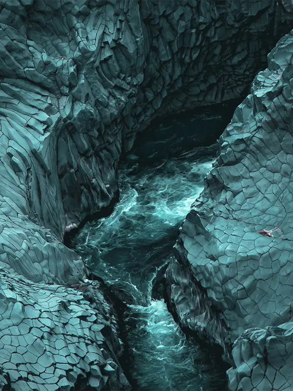 Project Illustration