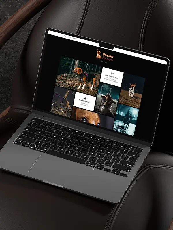 Project Illustration